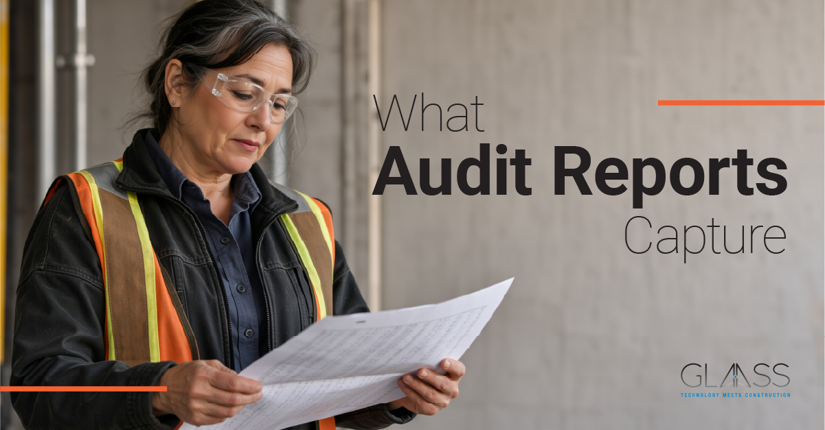 What Audit Reports Capture